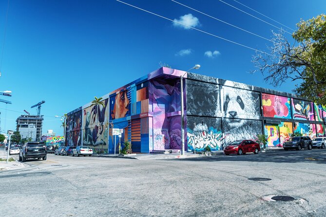 Private Street Art Tour in Miami - Highlights of the Private Street Art Tour