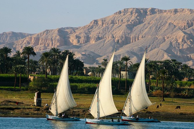 Private Sunset Felucca Tour to Luxor and Banana Island With Camel Ride - Inclusions in the Tour Package