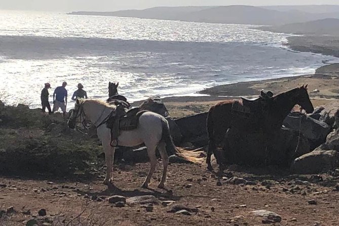 Private Sunset Horseback Ride - Good To Know