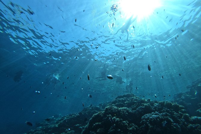 Private Sunset & Snorkeling Tour in Hurghada - Good To Know