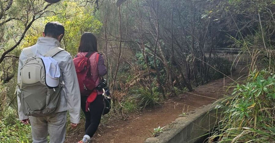 Private Tour : 25 Fontes Levada Hike - Good To Know