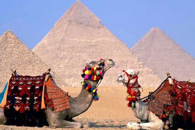Private Tour: 8 Days 7 Nights Great Pyramids & Nile Cruise by Train From Cairo - Good To Know