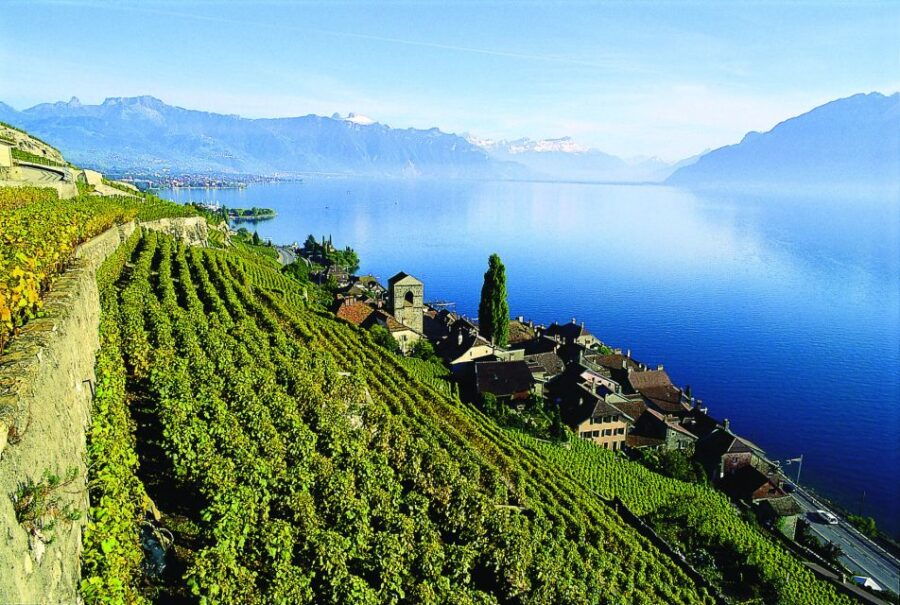 Private Tour at Swiss Riviera From Geneva