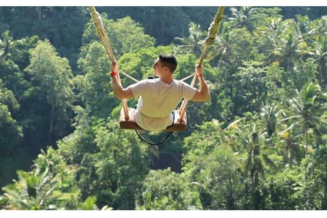Private Tour Bali Swing & Visiting Temples in Bali - Good To Know