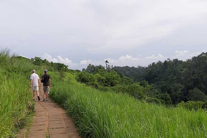 Private Tour: Campuhan Ridge Walk, Ubud Rice Terrace & Ubud Palace - Good To Know