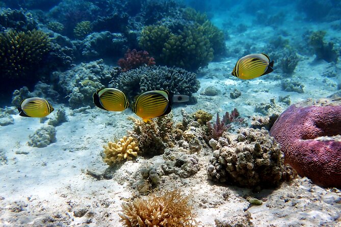 Private Tour Cebu Ocean Park