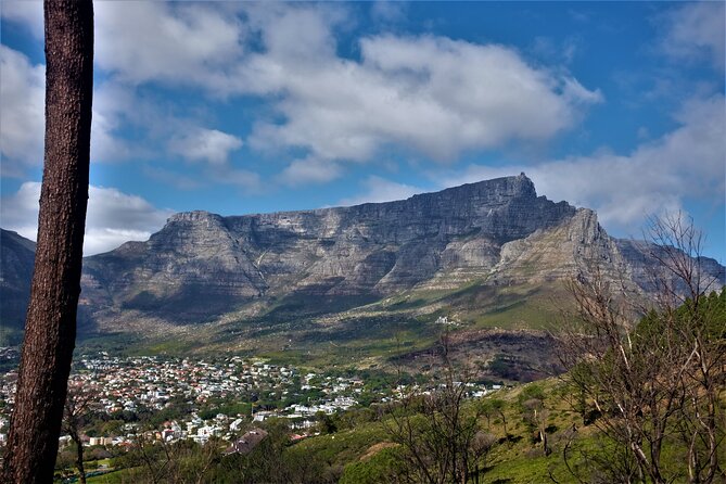 Private Tour : Ceres, Breede River Valley, Big Sky and Big 5 With Wine - Good To Know