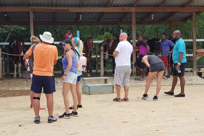 Private Tour: Chocolate Factory Rum Cake Factory, Sightseeing and Beach Tour - Good To Know