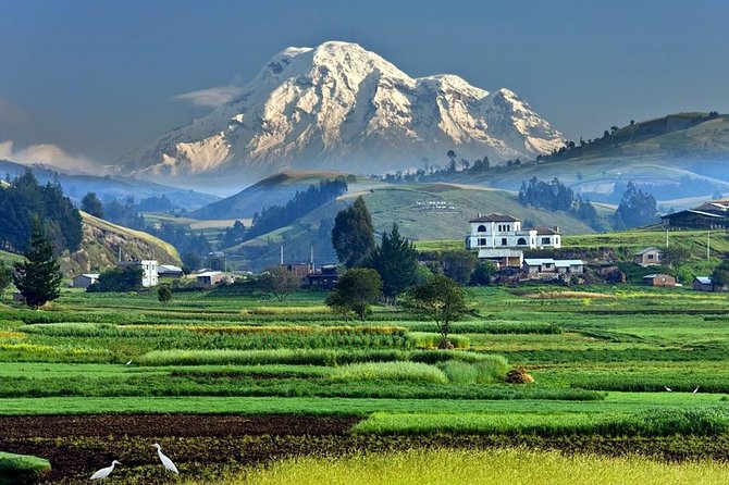 Private Tour Covers Highlands, Volcanoes, and Amazon