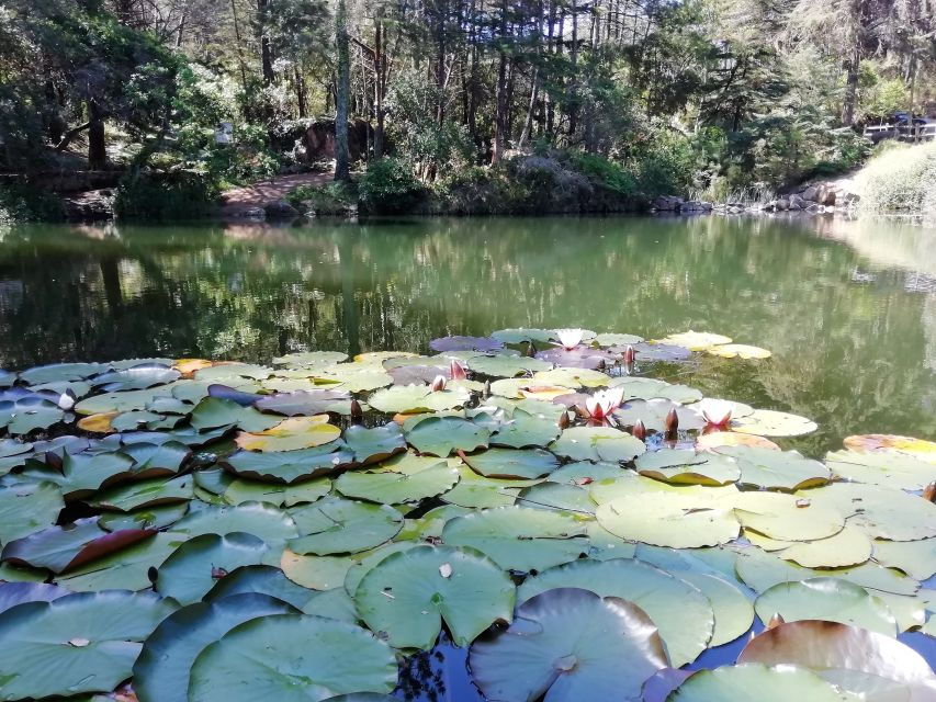 Private Tour: Day Trip to Sintra, Cape Roca, and Cascais - Good To Know