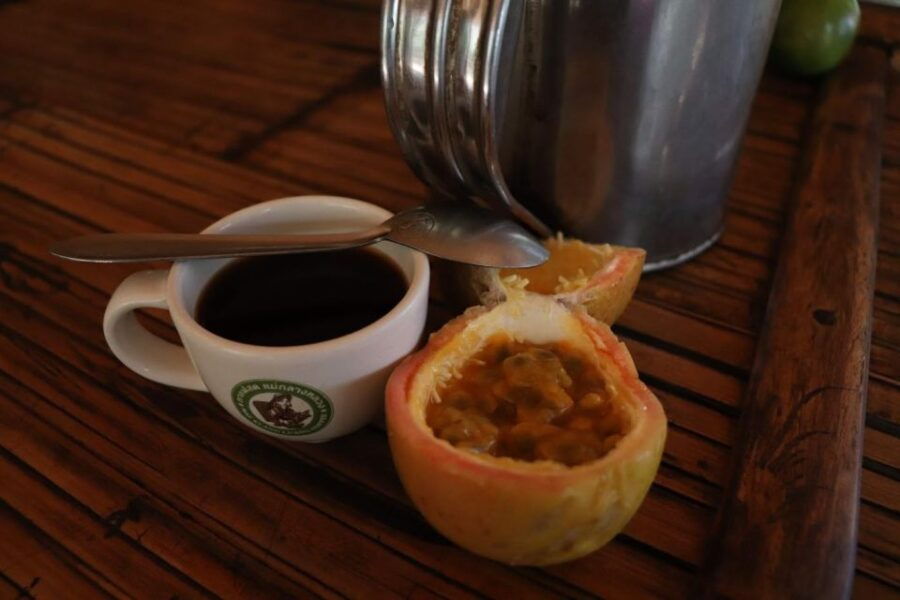 Private Tour Doi Inthanon, Trekking Nature Trail, Chiang Mai - Good To Know