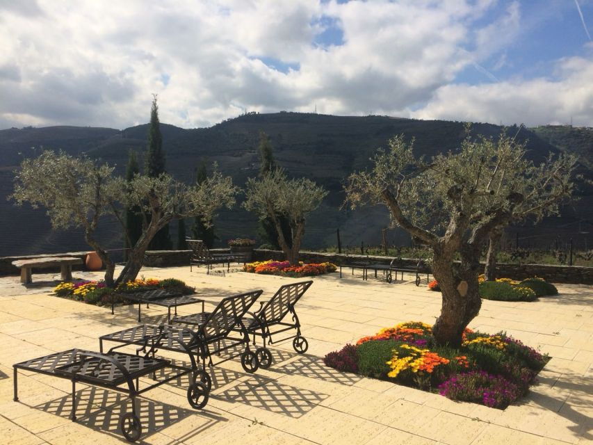 Private Tour: Douro Valley Wine and Food From Oporto - Good To Know