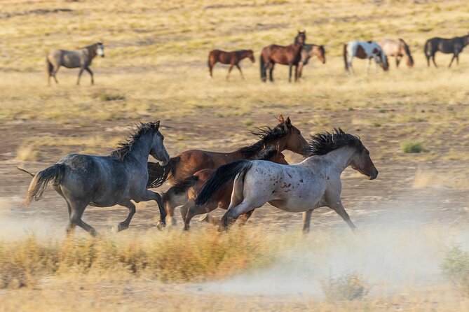 Private Tour for up to 7 to Antelope Canyon X and Horseshoe Bend - Good To Know