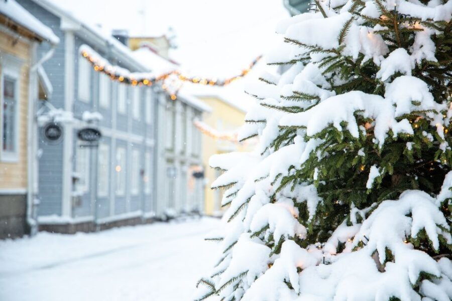 Private Tour From Helsinki: All Highlights & Medieval Porvoo