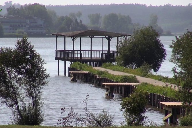 Private Tour From Lisbon to Agueda the Art Umbrellas Festival City and Much More With Lunch - Good To Know