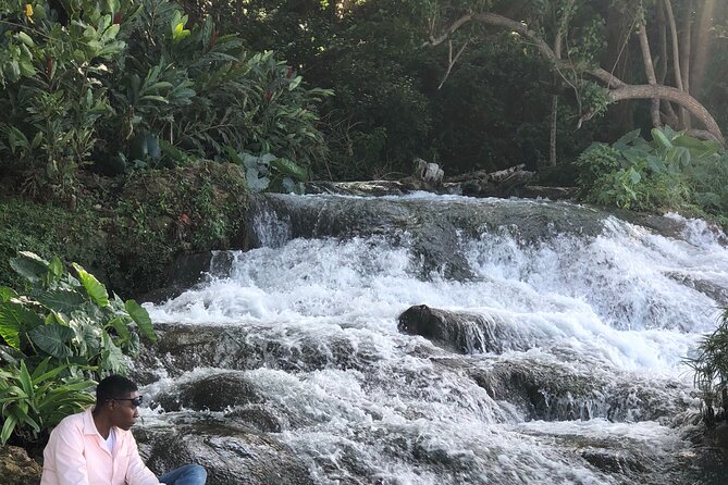 Private Tour From Montego Bay to Dunn'S River Falls & Luminous Lagoon Night Tour