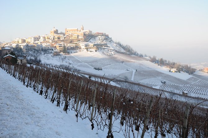 Private Tour From Turin: Full Day Langhe Region With Its Colors and Flavors - Good To Know