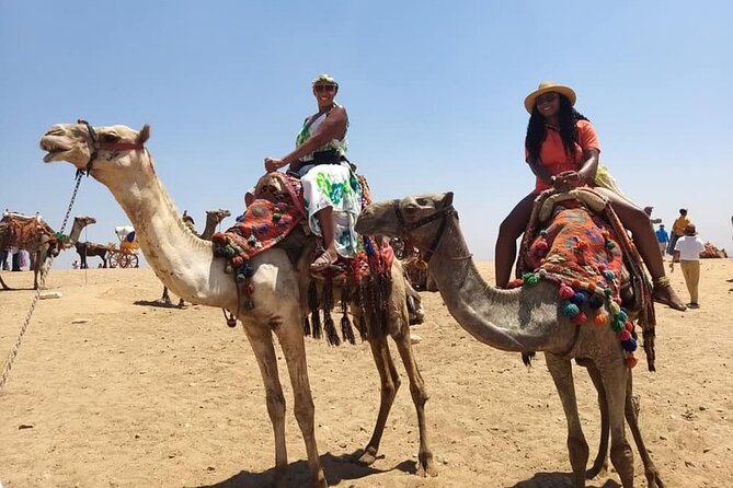 Private Tour Giza Pyramids Sphinx and National Museum of Egyptian Civilization - Good To Know