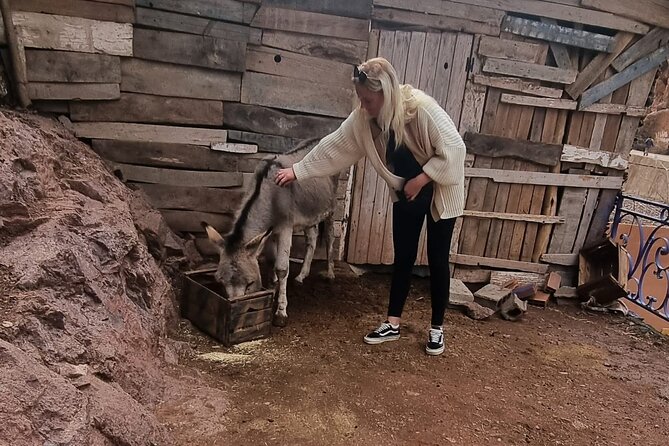 Private Tour in Atlas Mountain and 3 Valleys With Camel Ride - Tour Highlights