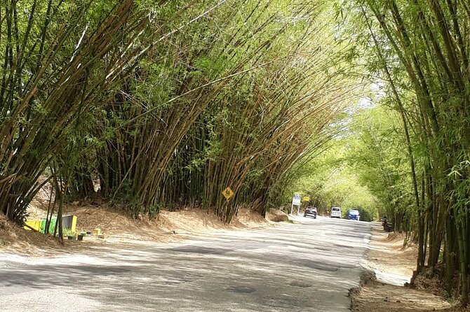 Private Tour in Dunns River Falls