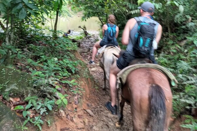 Private Tour in Miches With La Jarda Waterfall Experience - Good To Know