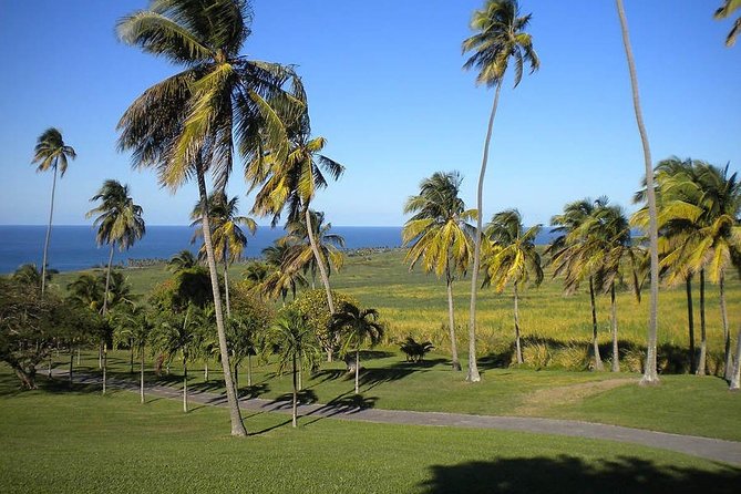 Private Tour in St. Kitts
