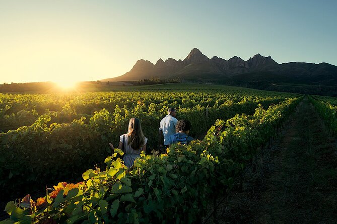 Private Tour in Stellenbosch Franschhoek and Paarl Winelands - Itinerary Overview