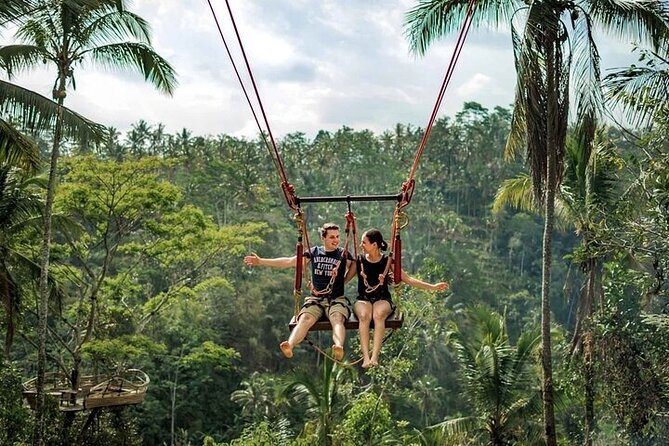 Private Tour in Ubud With Jungle Swing - Good To Know