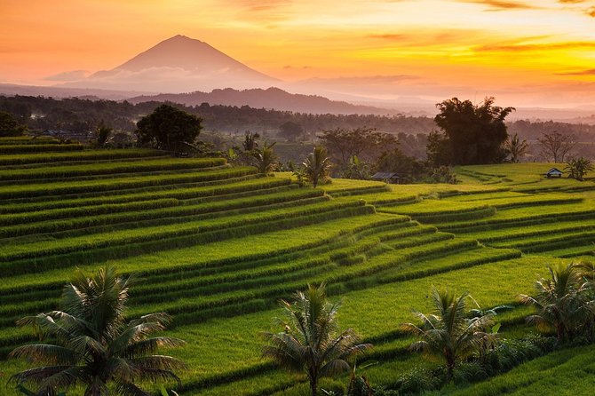 Private Tour: Jatiluwih Rice Terraces - Ulun Danu Temple - Bayumala Waterfalls - Good To Know