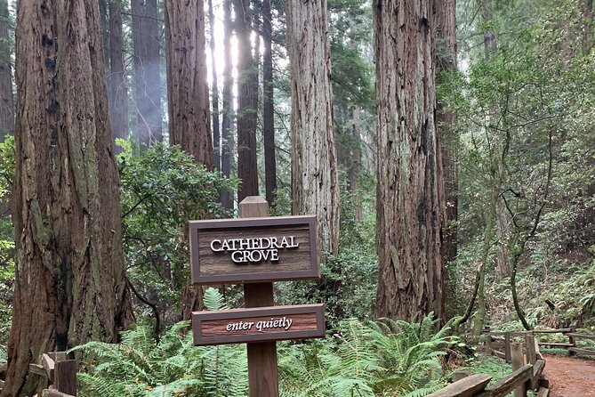 Private Tour Muir Woods and Sausalito - Good To Know