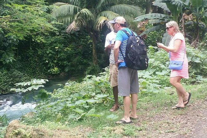 Private Tour of Montego Bay