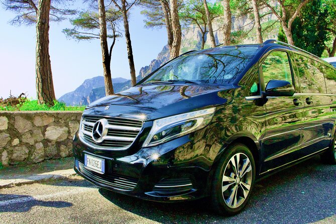 Private Tour of Pompeii and Vesuvius From Sorrento or Naples - Good To Know