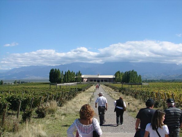 Private Tour of Salentein Winery La Azul With Lunch. Transportation Included