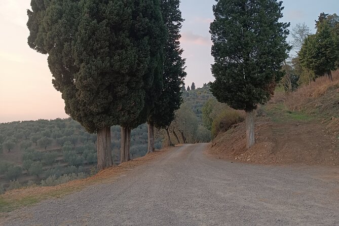 PRIVATE TOUR: Oil Production, Leonardos House, Tasting