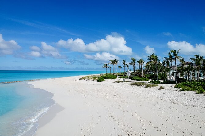 Private Tour Providenciales With Snorkeling and Iguana Island - Good To Know