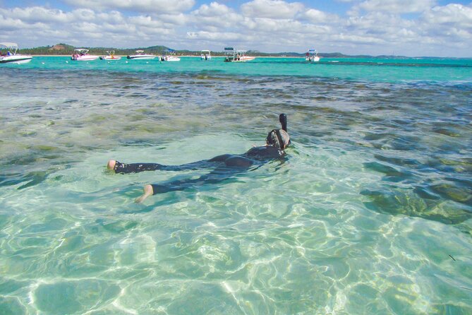 Private Tour Snorkeling in Saint-Martin