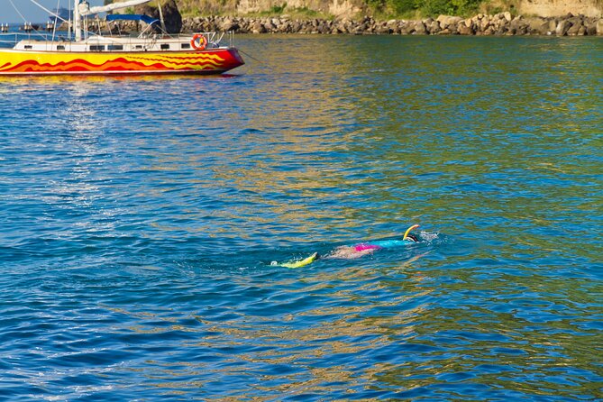 Private Tour St Lucia to Snorkel at Anse Chastanet Beach