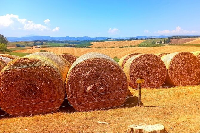 PRIVATE TOUR "Sweet Hills of Chianti and San Gimignano" With Lunch & 2 Tastings - Good To Know