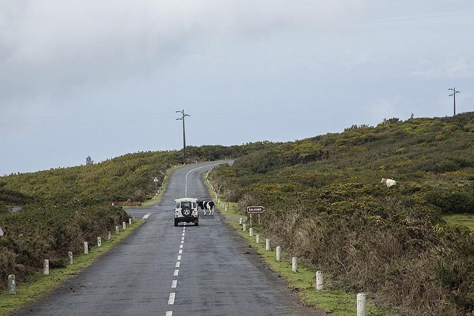 Private Tour: The Amazing West - Jeep Safari Tour - Full Day