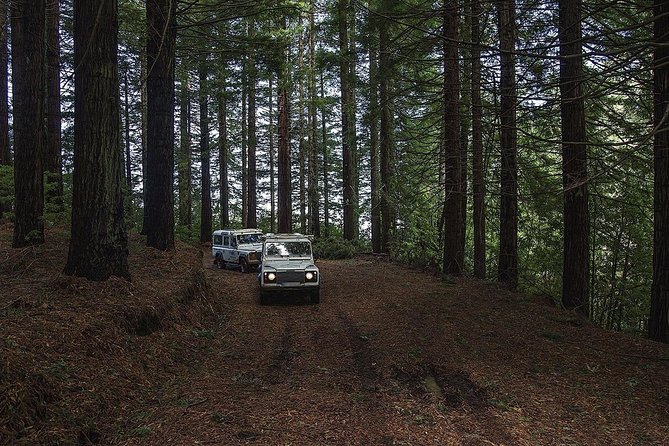 Private Tour: The Enchanting North – Jeep Safari Tour - Full Day - Good To Know