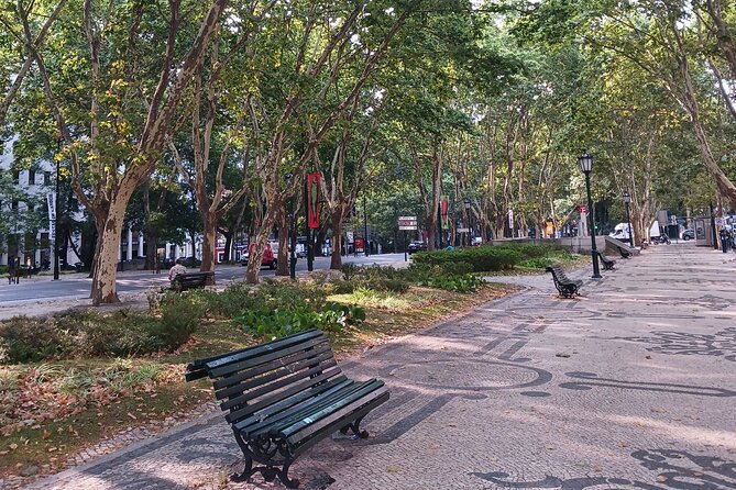 Private Tour - The Heart of Lisbon - Highlights of the Tour