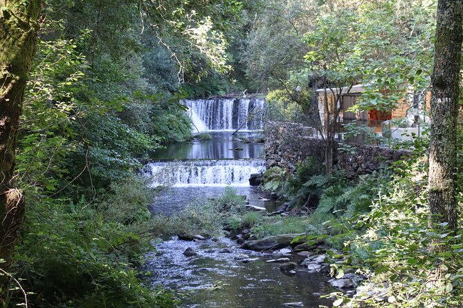 Private Tour to Arouca 516 Bridge and Passadiços Do Paiva - Good To Know