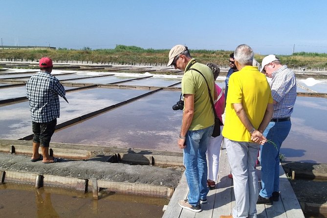 Private Tour to Aveiro and Costa Nova Unique Striped Houses - Pricing and Booking Options
