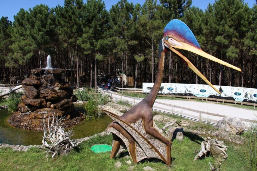 Private Tour to Batalha, Nazaré, Óbidos & Wine Tasting - Good To Know