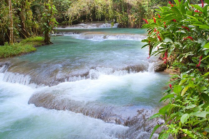 Private Tour to Dunns River Falls and Margaritaville - Good To Know