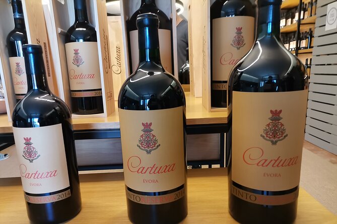 Private Tour to Evora With Wine Tasting at the Cartuxa Winery - Good To Know