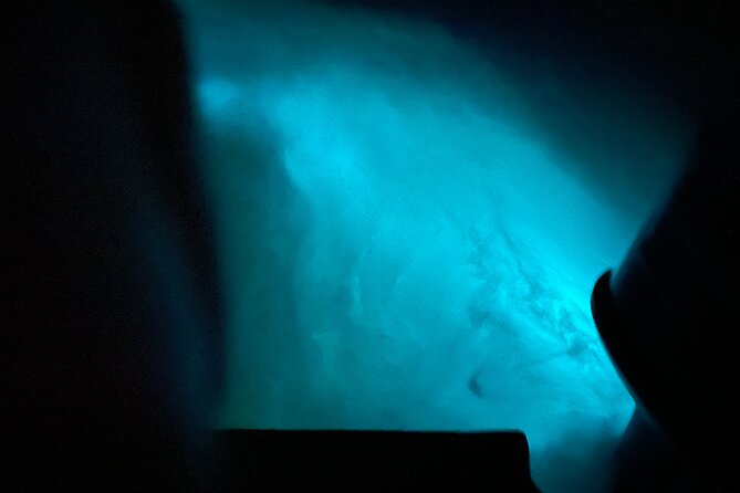 Private Tour to Luminous Lagoon in Montego Bay