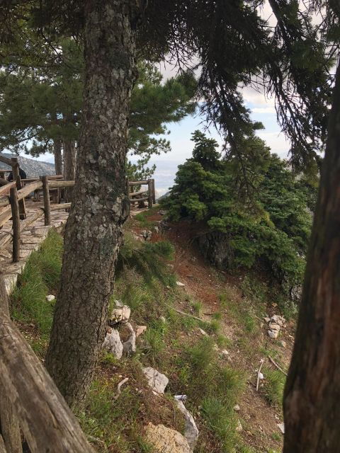 Private Tour To Parnitha and Mpafi Refuge Half Day - Good To Know