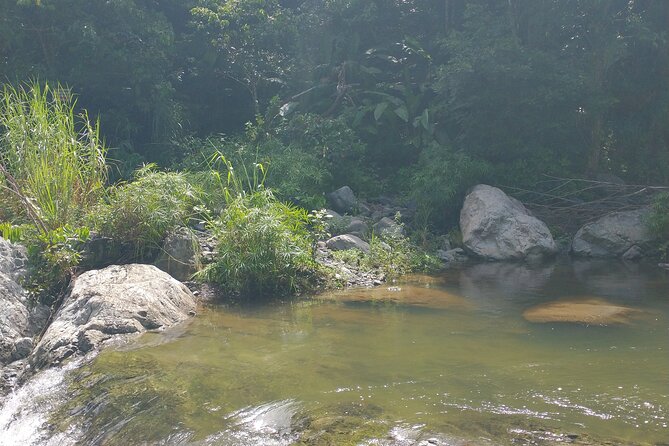 Private Tour to Pristine Swimming Hole In Puerto Rico Jungle