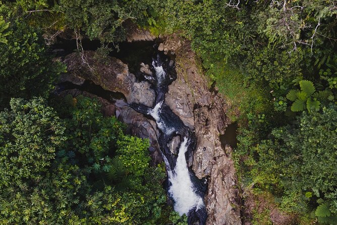 Private Tour to Waterfall in Puerto Rico